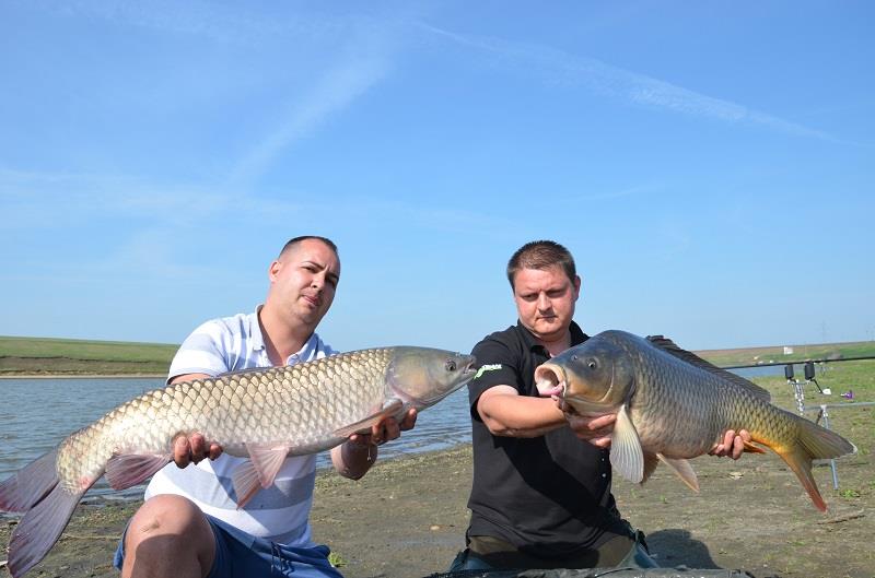 Desfasurare CN APCR Arrow Sarulesti 27 aprilie - 2 mai 2013 - dsc8707.JPG